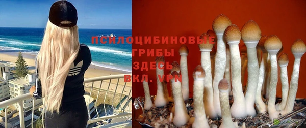 круглые Алексеевка